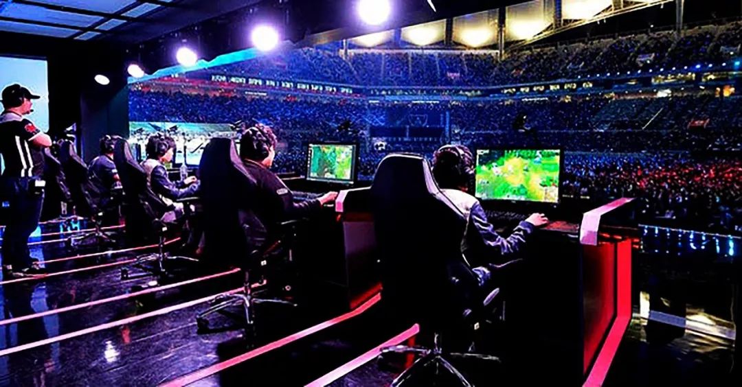 浙江队的新 浙江队的新